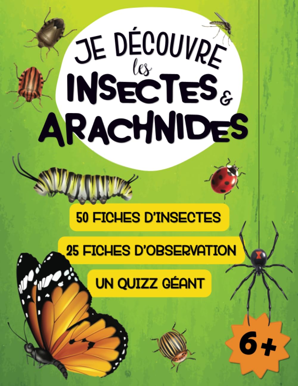 Je découvre les insectes et arachnides: Apprends à reconnaître les petites bêtes, teste tes connaissances, et pars à leur recherche, à partir de 6 ans Non-fiction