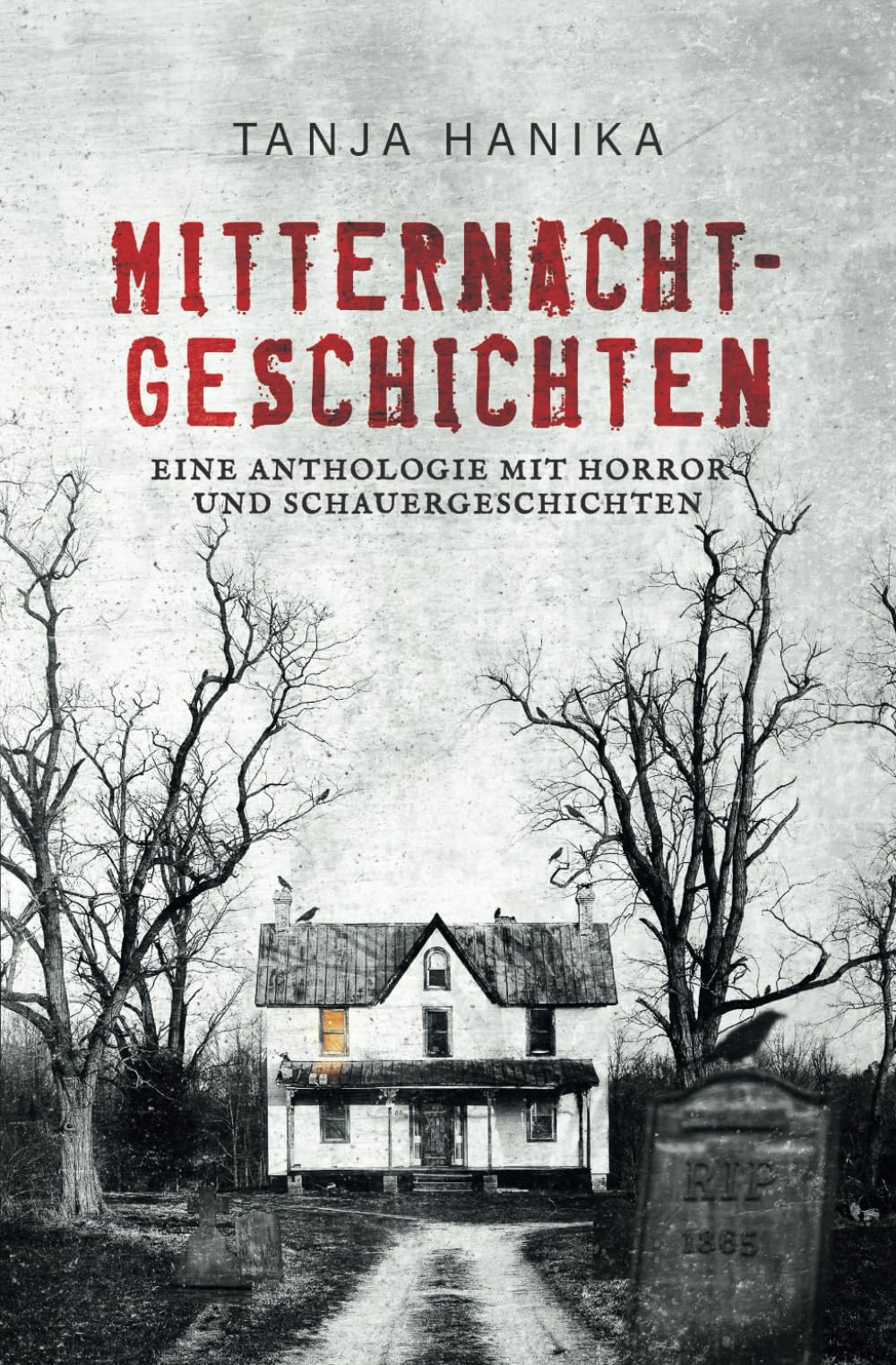 Mitternachtgeschichten: Eine Anthologie mit Horror- und Schauergeschichten Contemporary literature
