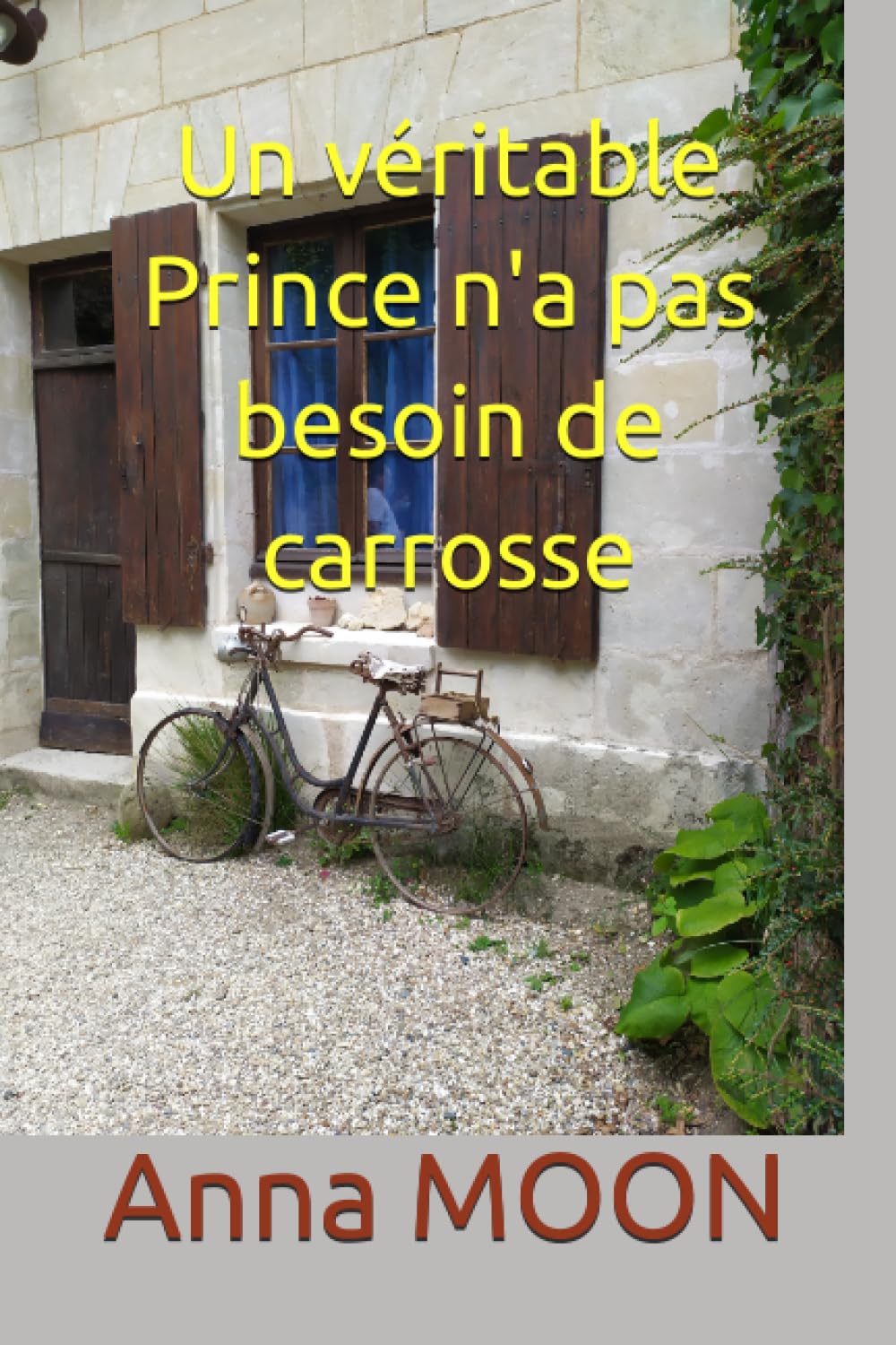Un véritable Prince n'a pas besoin de carrosse Contemporary literature