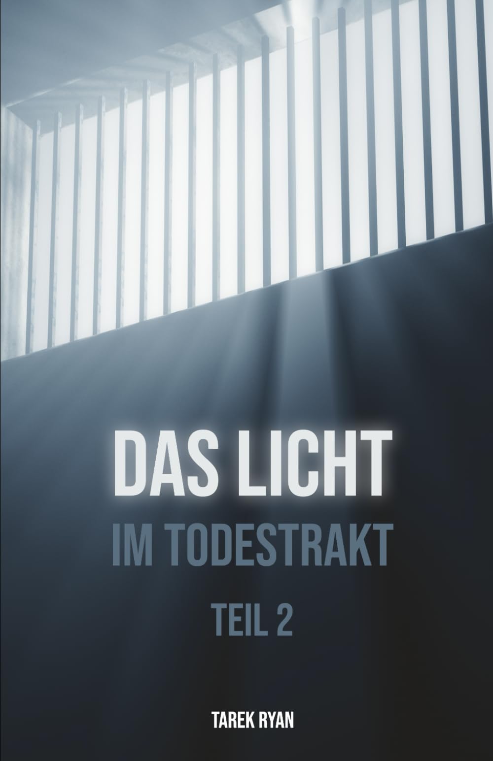 Das Licht im Todestrakt: Teil 2 book