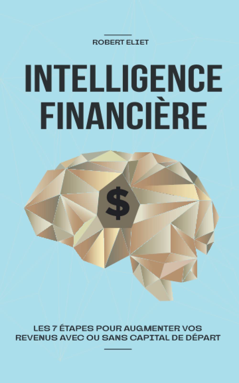 Intelligence financière: les 7 étapes pour augmenter vos revenus avec ou sans capital de départ Business, Finance & Career