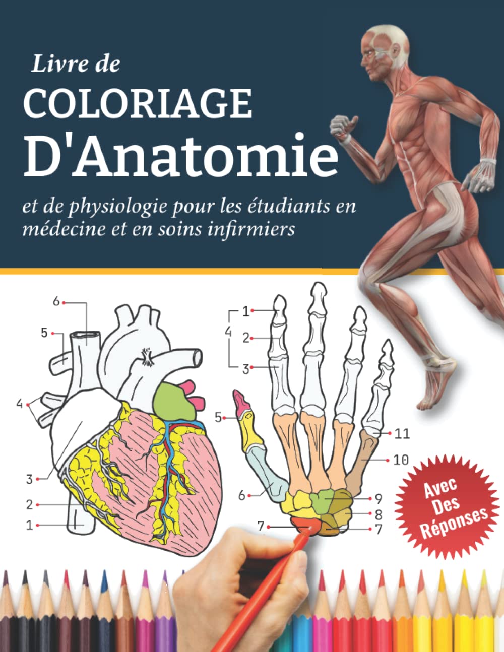 Livre De Coloriage D'Anatomie et de Physiologie Pour Les Étudiantes en Médecine Et En Soins Infirmiers: Anatomie à colorier - apprendre l'anatomie et ... - livre de coloriage d'anatomie humaine Medicine