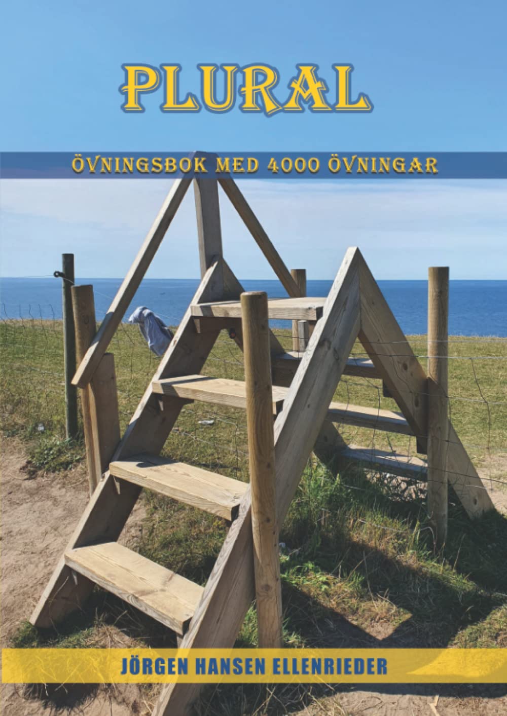 PLURAL: Övningsbok med 4000 övningar (Svenska för invandrare) Media & Communication