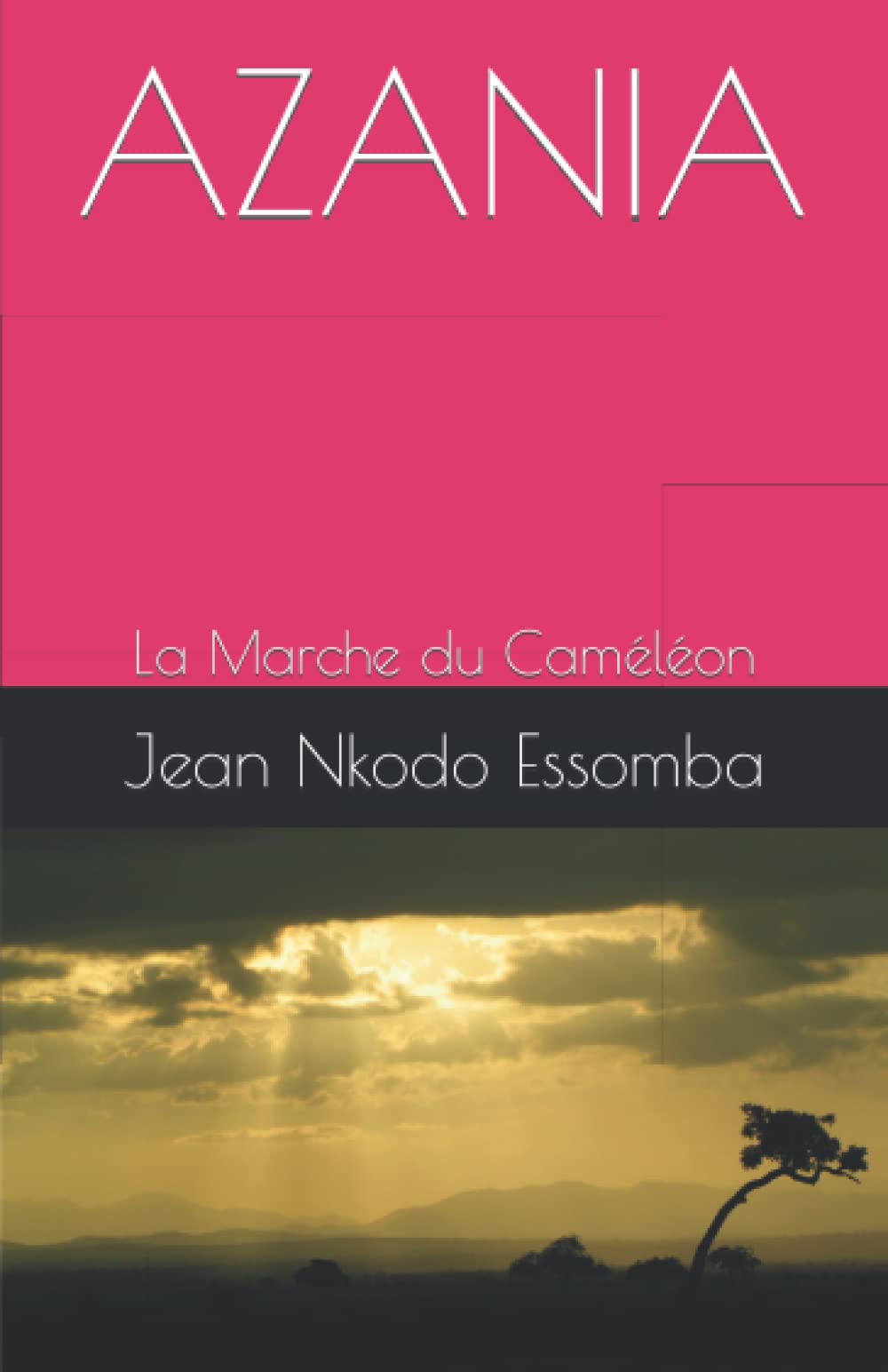 AZANIA: La Marche du Caméléon book