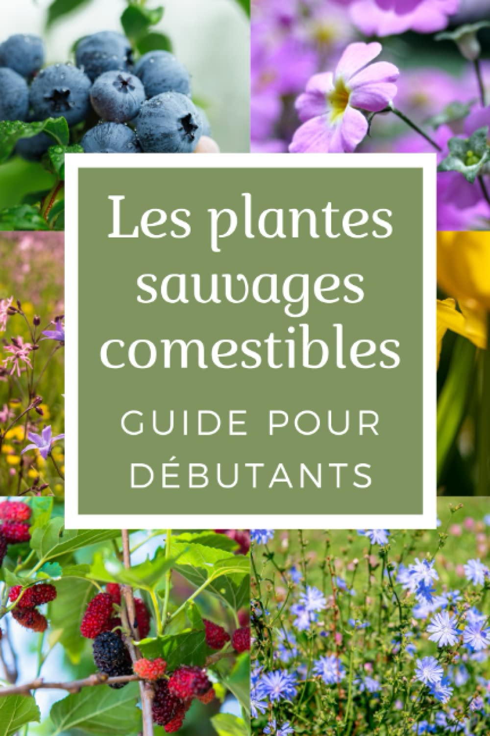 Le Guide Des Plantes Sauvages Comestibles Non-fiction