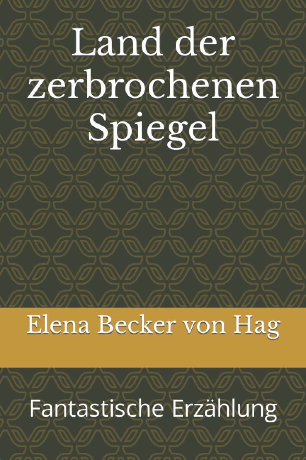 Land der zerbrochenen Spiegel: Fantastische Erzählung book