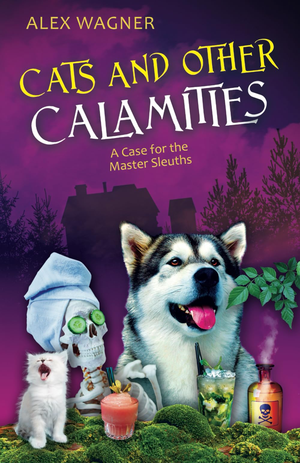 Cats and Other Calamities (A Case for the Master Sleuths, Band 1) Contemporary literature