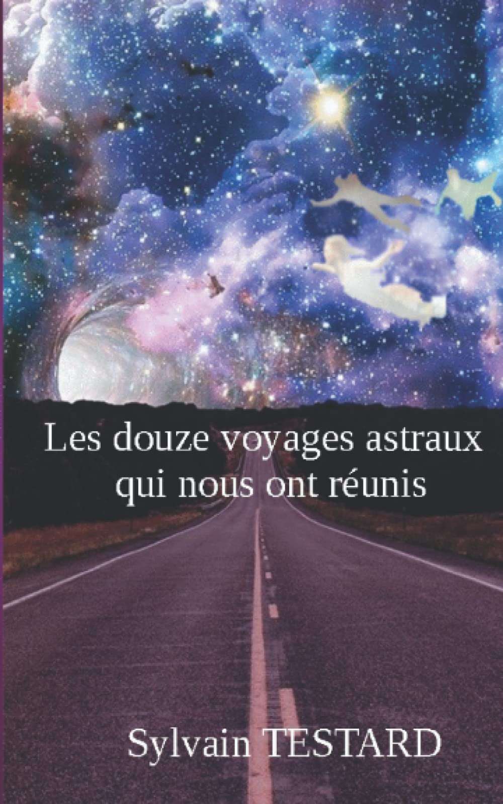 Les douze voyages astraux qui nous ont réunis book