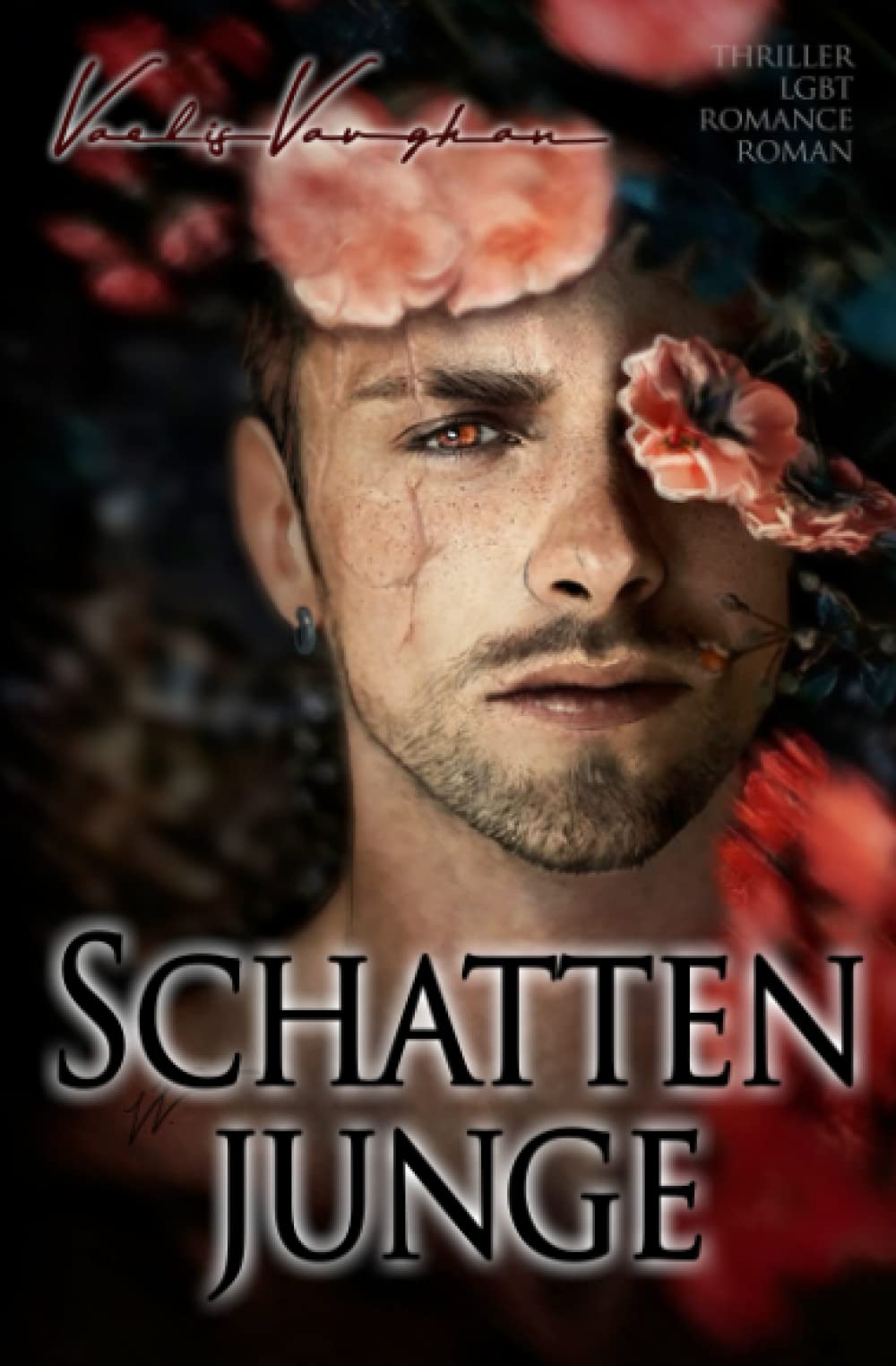 Schattenjunge: Thriller LGBT Romance Roman LGBTQ+