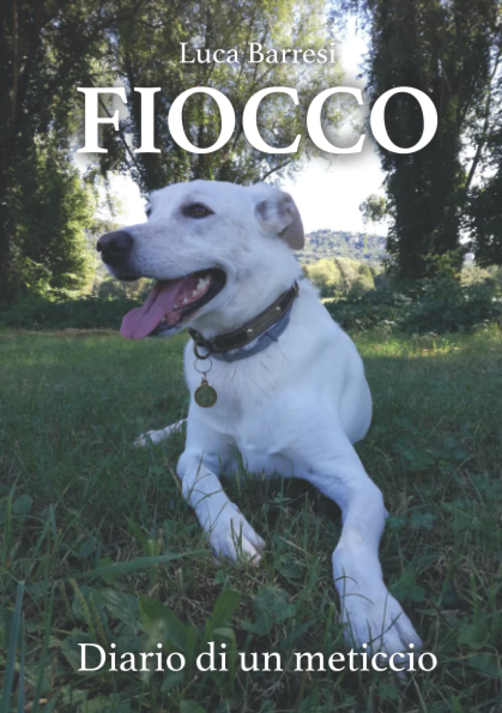 FIOCCO Diario di un meticcio Contemporary literature