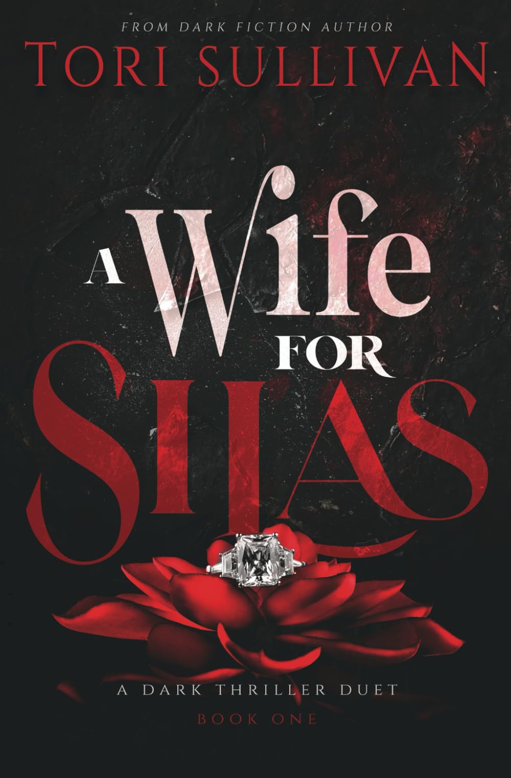 A Wife for Silas: A Dark Thriller book