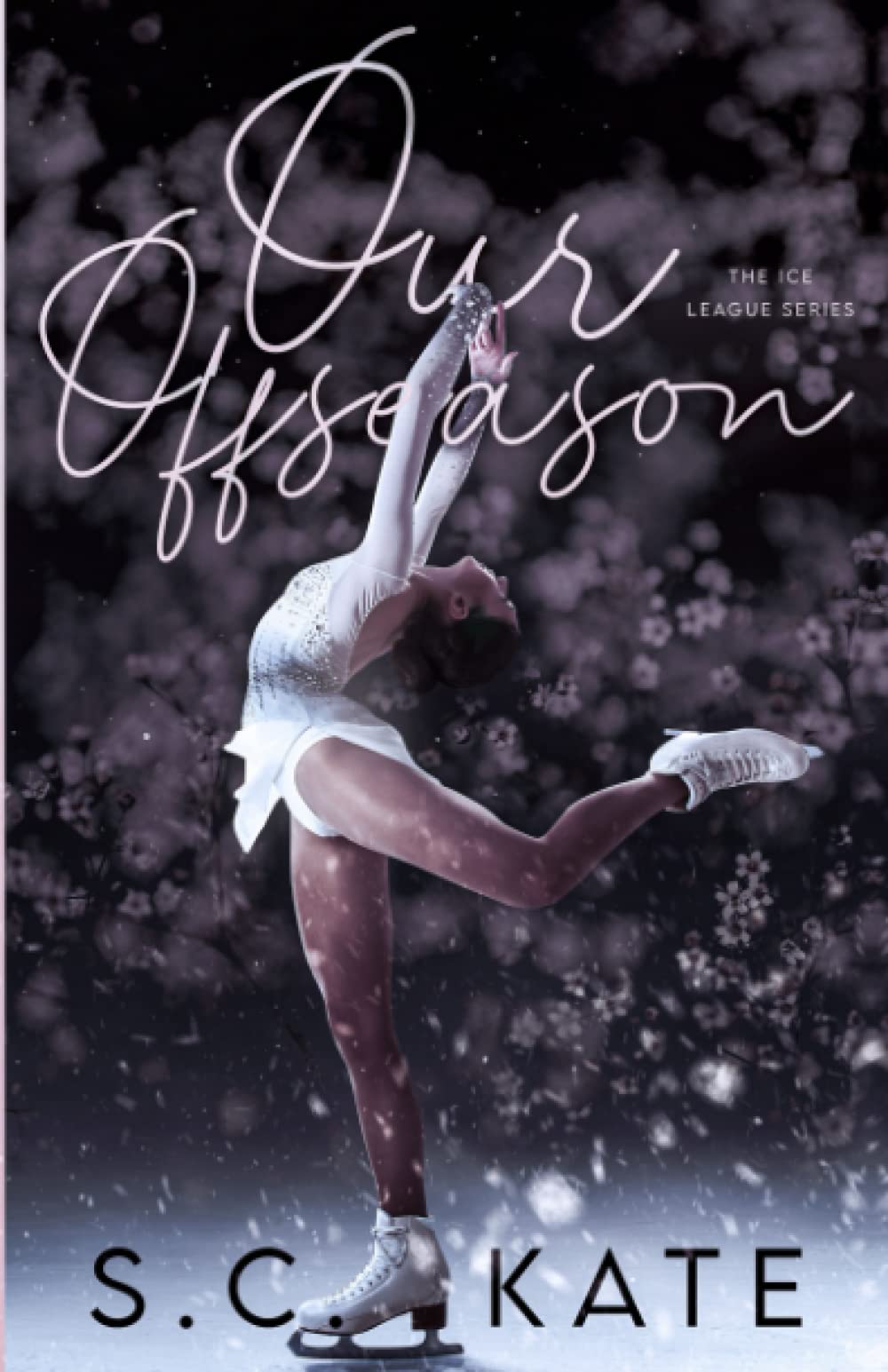 Our Offseason (The Ice League Series, Band 4) Contemporary literature