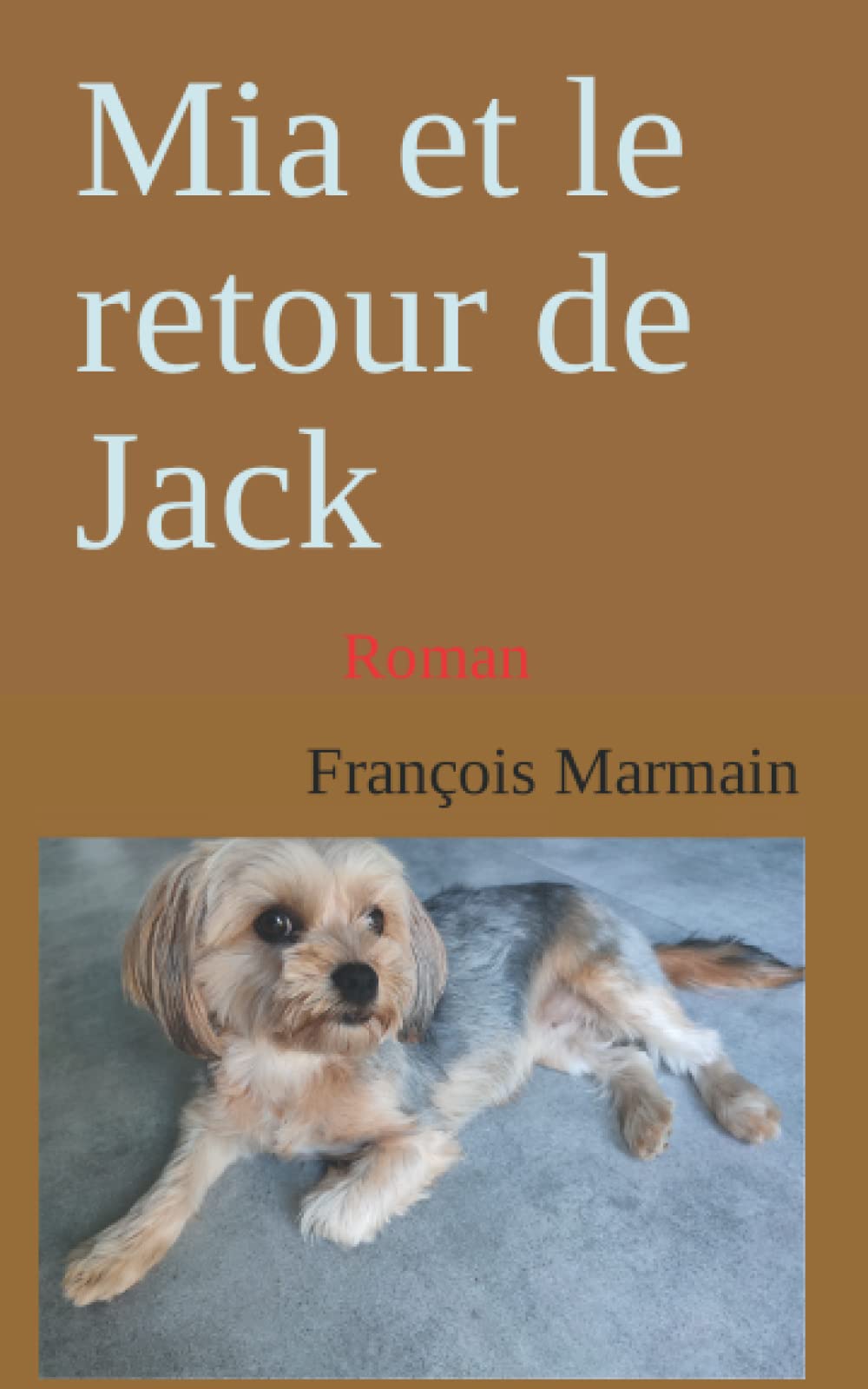 Mia et le retour de Jack: Roman Contemporary literature