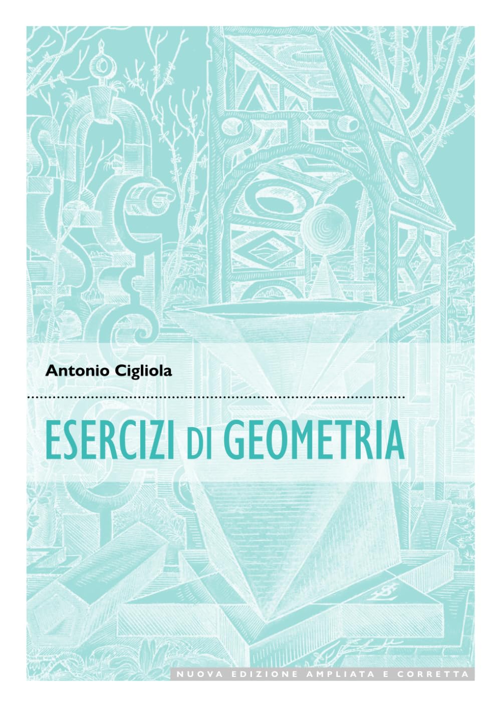 Esercizi di Geometria book