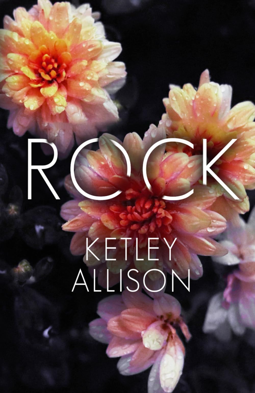 Rock: Die Liebesgeschichte eines grummeligen Vaters (Vom Player zum Liebhaber) New Adult