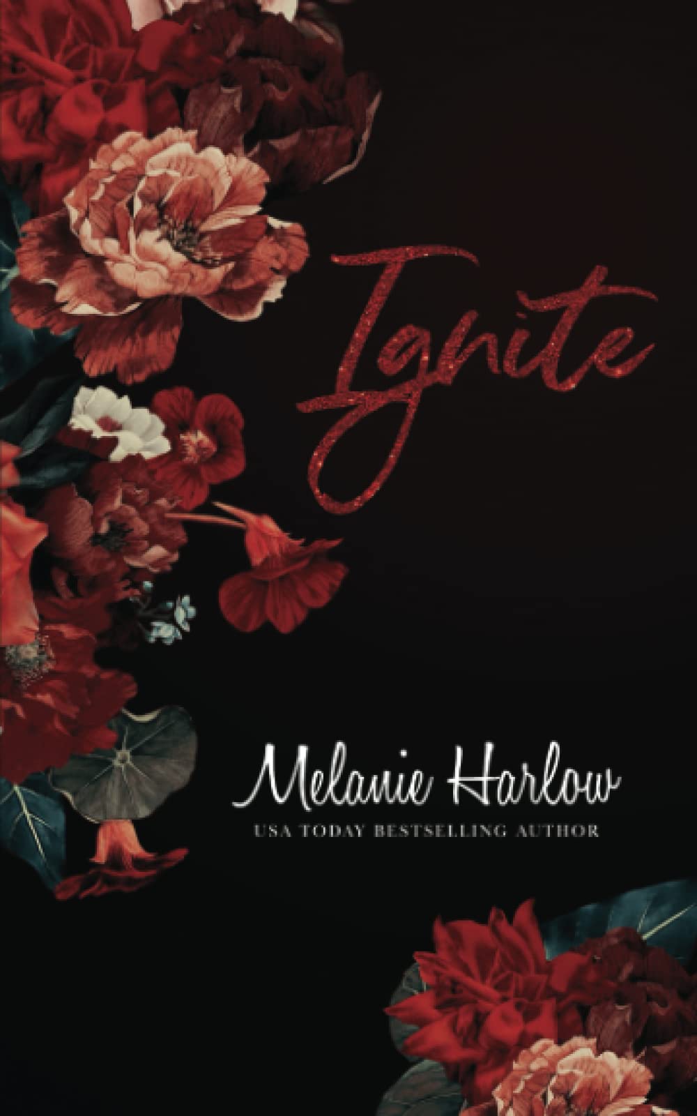 Ignite: Special Edition Paperback (Cloverleigh Farms Next Generation Special Edition Paperbacks, Band 1) Contemporary Romance