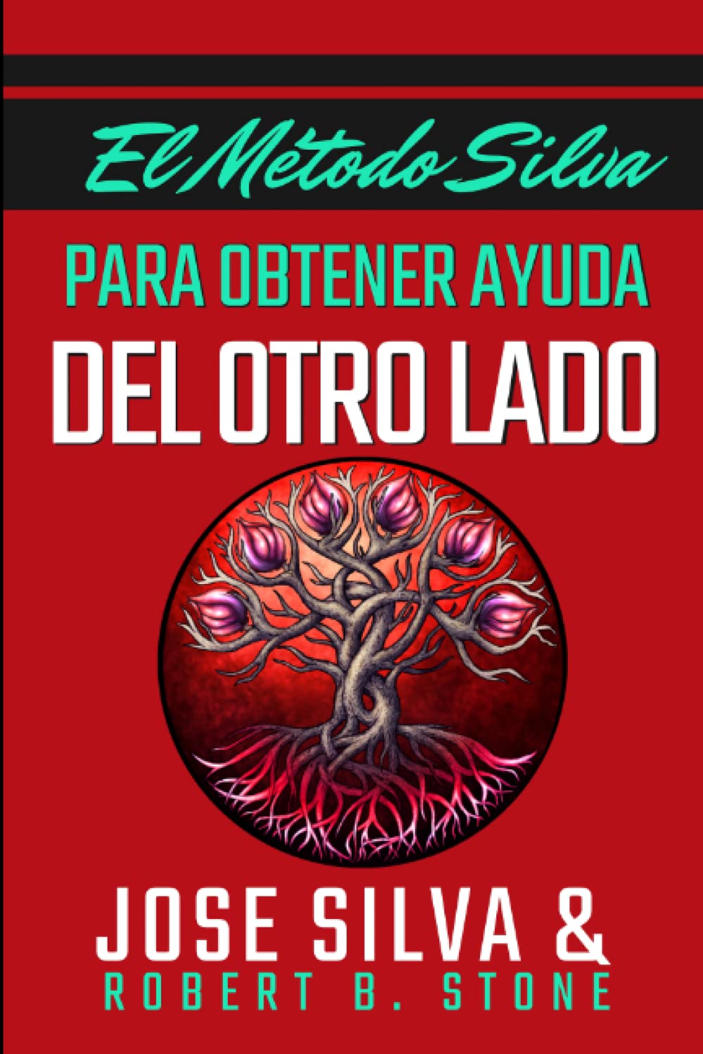 EL METODO SILVA PARA OBTENER AYUDA DEL OTRO LADO book