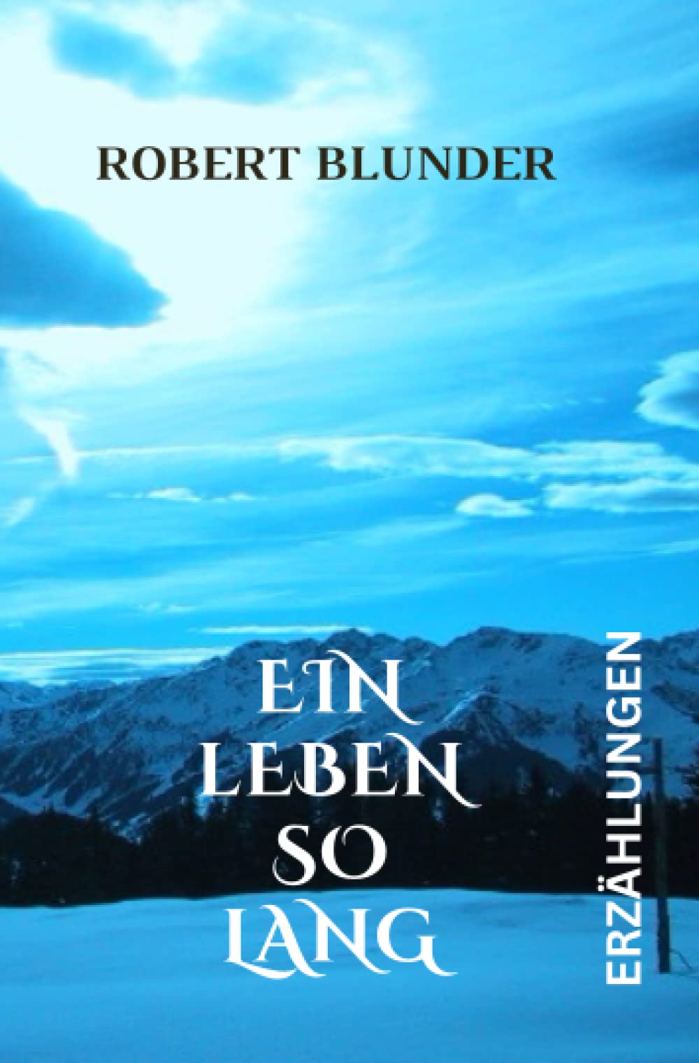 Product Image: Ein Leben so lang: Erzählungen
