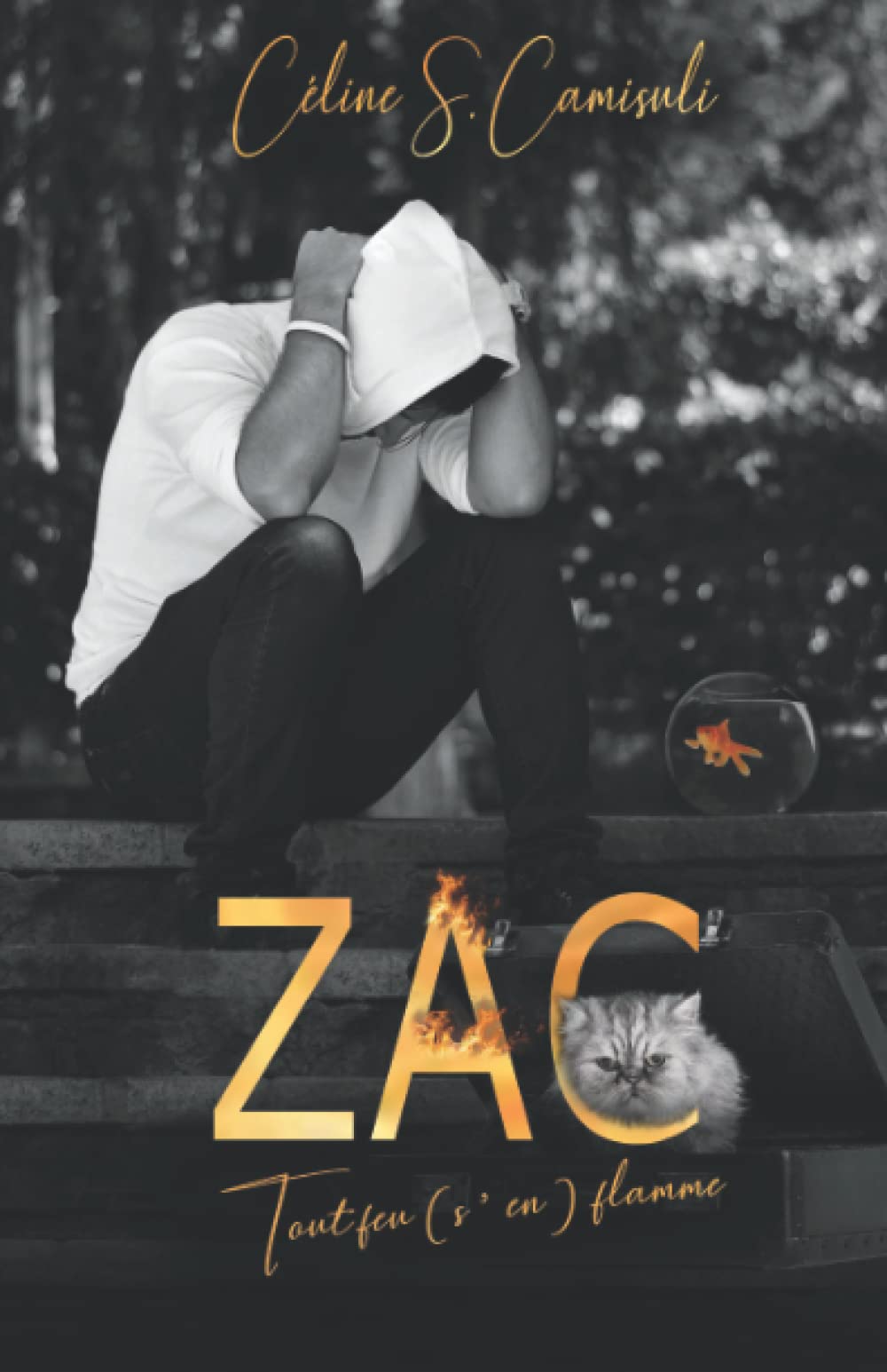 Zac: Tout feu (s'en) flamme. book