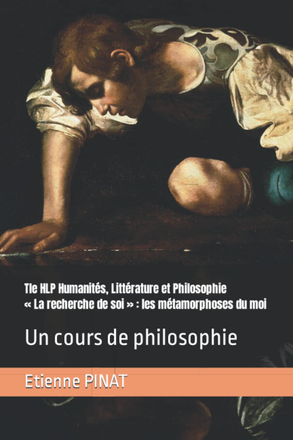 Tle HLP Humanités, Littérature et Philosophie « La recherche de soi » : les métamorphoses du moi: Un cours de philosophie book