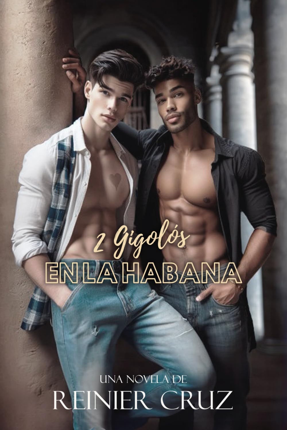 2 Gigolós en La Habana book
