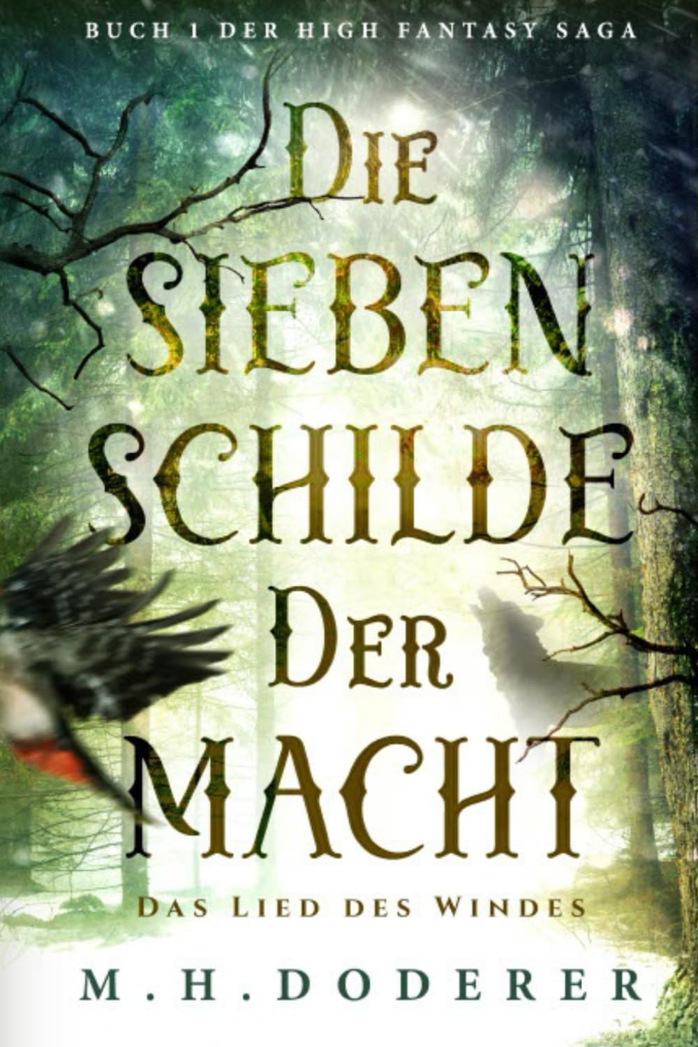 Die sieben Schilde der Macht: Spannende High Fantasy Saga mit Gestaltwandlern, Werwölfen, Tiermagiern, Zauberern und Hexen. Tauche ein in eine Welt, ... Fähigkeiten keine Ausnahme sind. Band 1. Fantasy & Sci-Fi