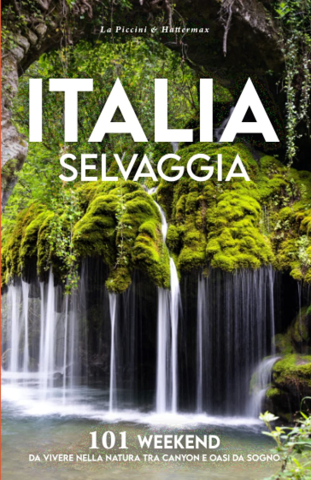 ITALIA SELVAGGIA: 101 WEEKEND DA VIVERE NELLA NATURA TRA CANYON E OASI DA SOGNO book