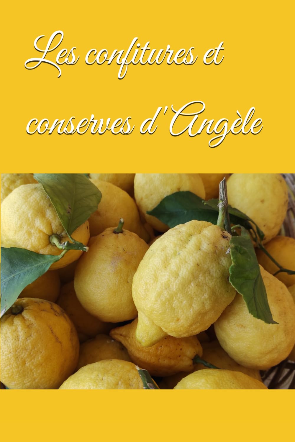 Les confitures et conserves d'Angèle book