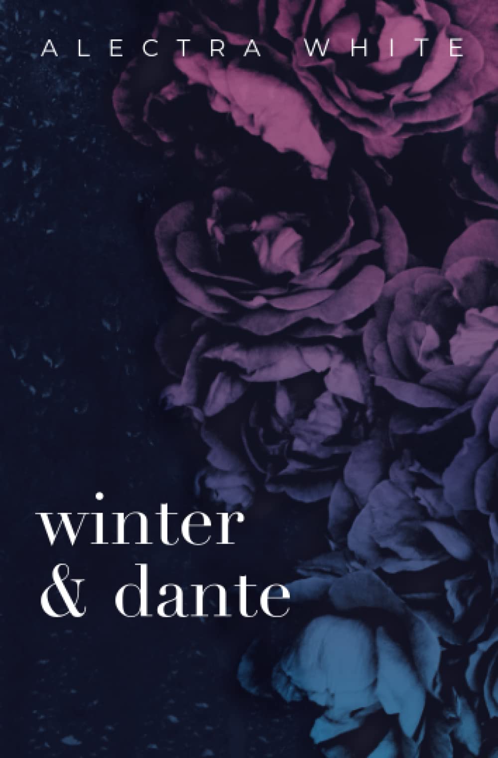 Winter & Dante: November's Death 1-3 – Dark Romance (Discreet Cover Edition, Band 2) Romantic Thrillers