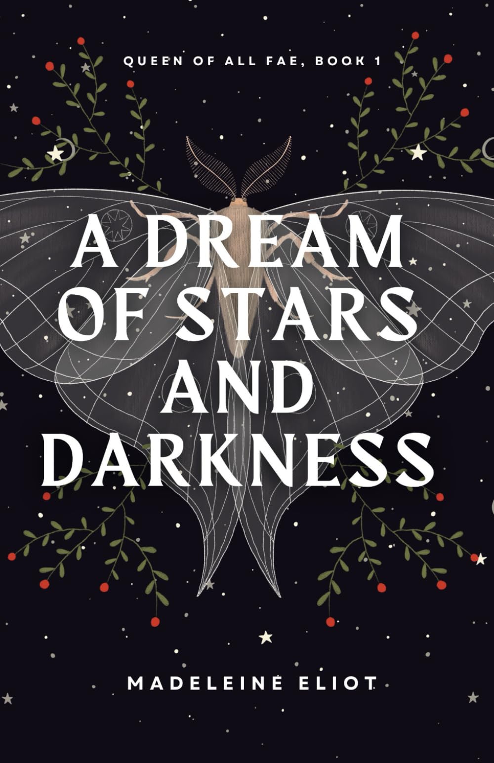 A Dream of Stars and Darkness book