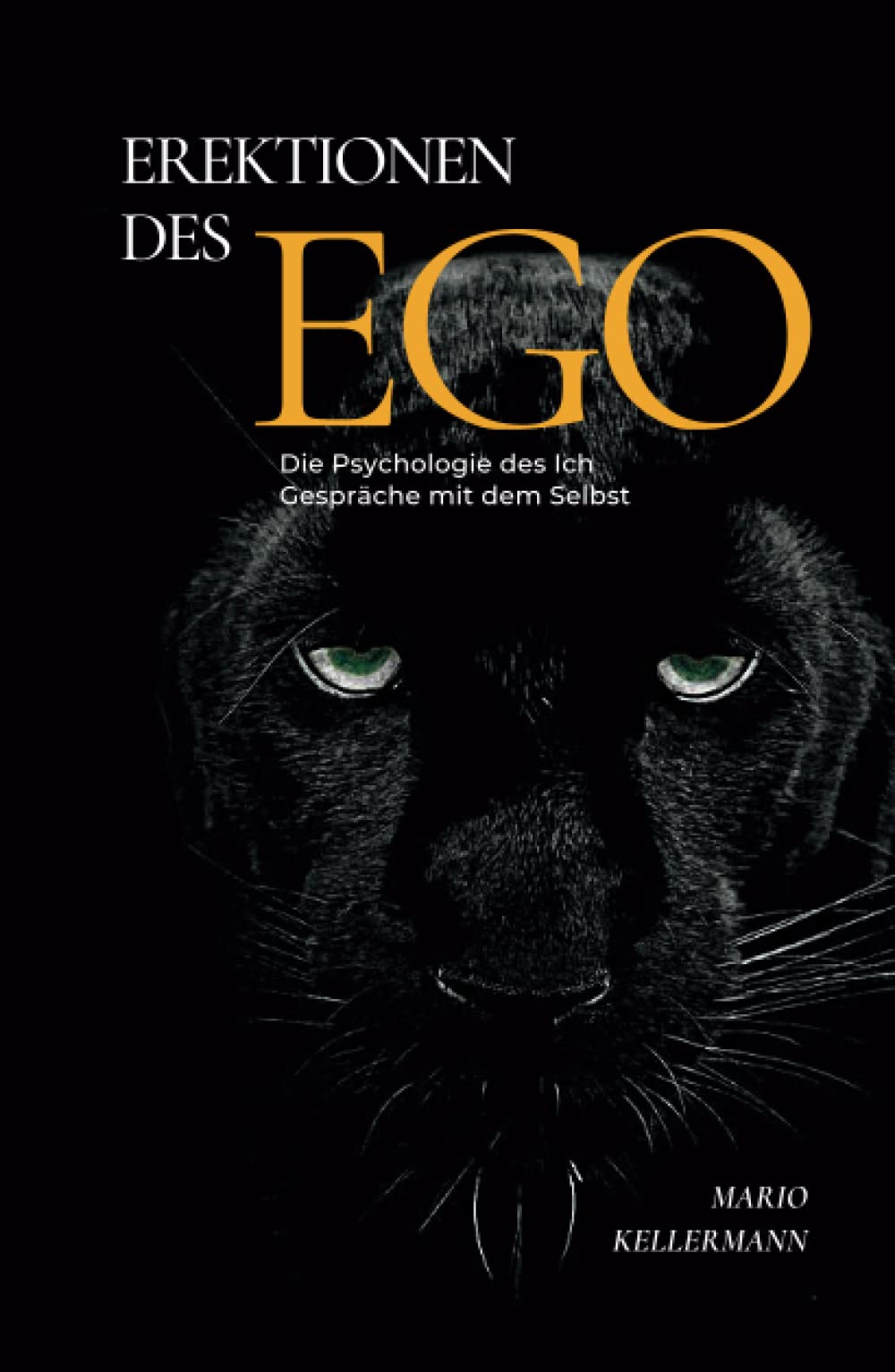 Erektionen des Ego: Die Psychologie des Ich. Gespräche mit dem Selbst (Unveränderte Neuausgabe) Contemporary literature