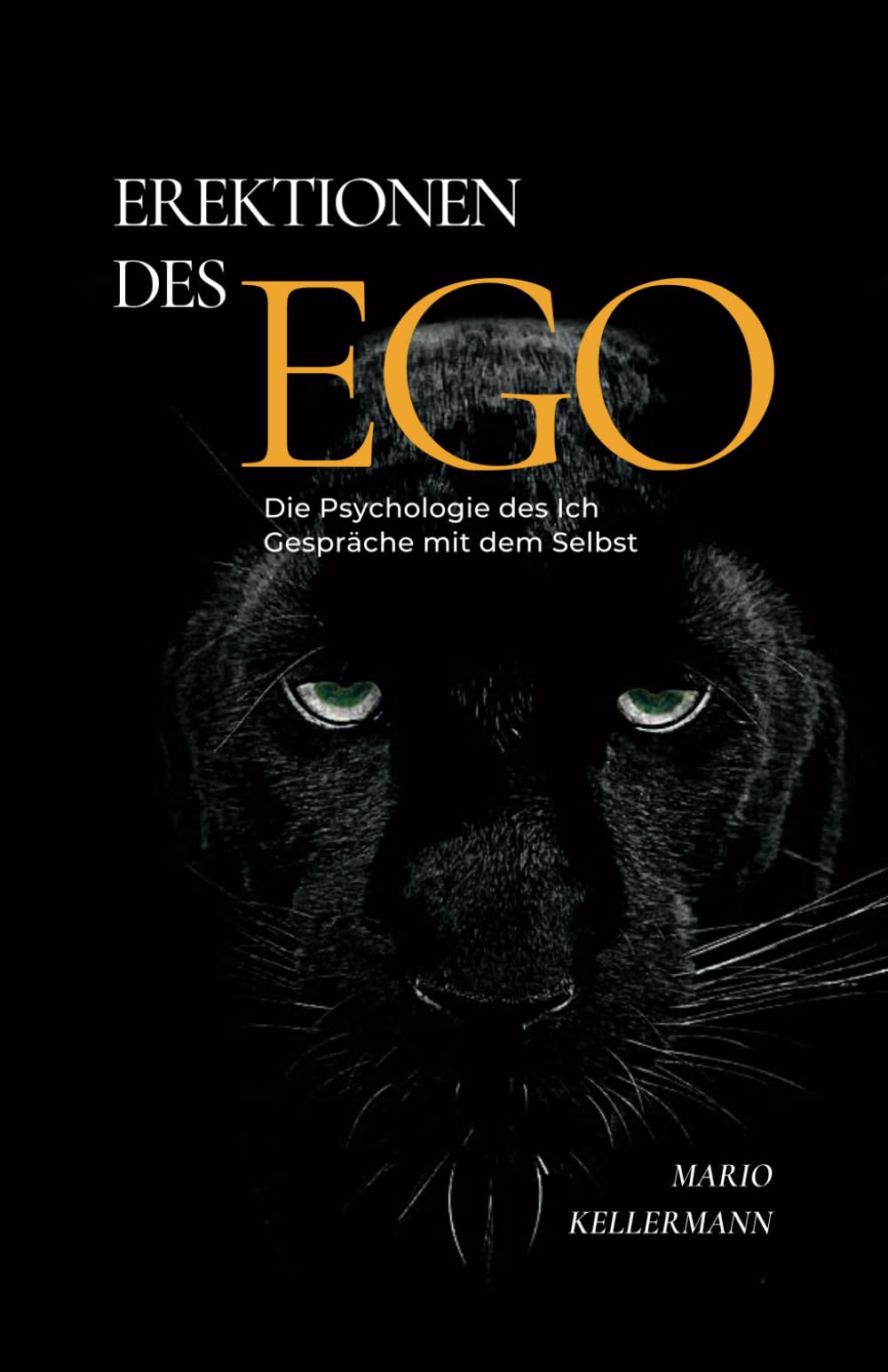Erektionen des Ego: Die Psychologie des Ich. Gespräche mit dem Selbst (Unveränderte Neuausgabe) Psychology