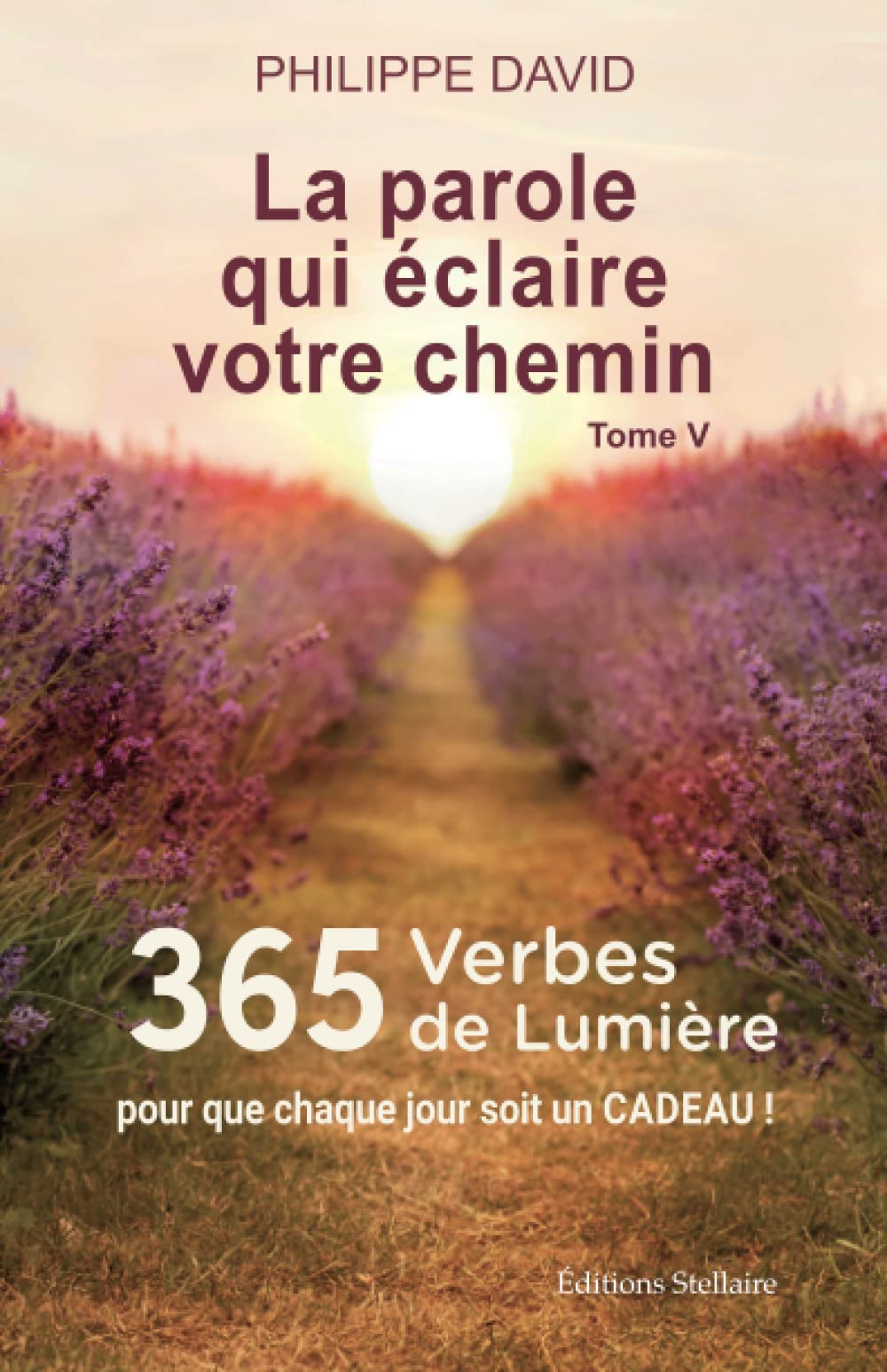 365 VERBES DE LUMIÈRE - La parole qui éclaire votre chemin, Tome 5 book