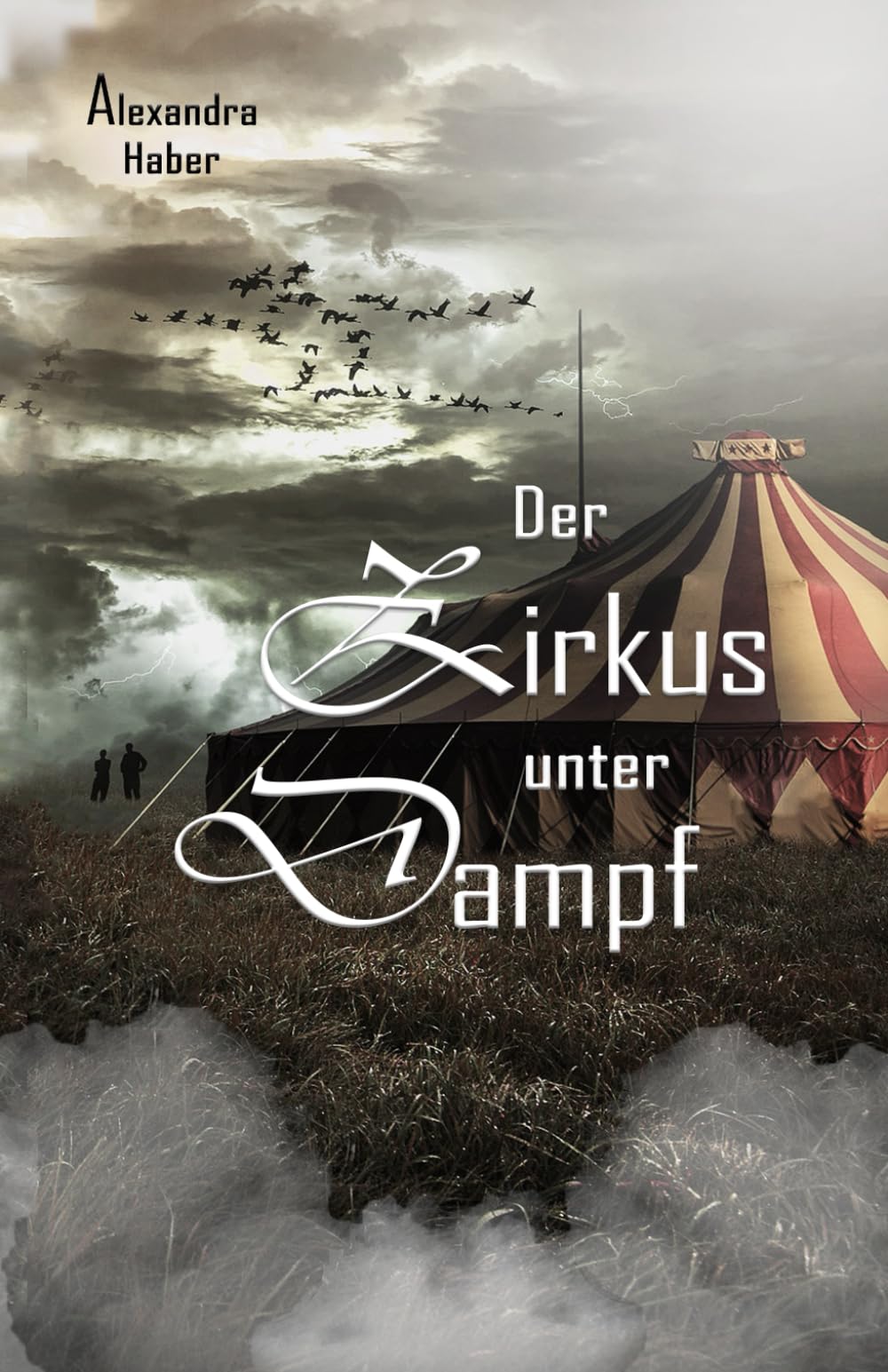 Der Zirkus unter Dampf (Die Verneburg-Reihe) Historical Fiction