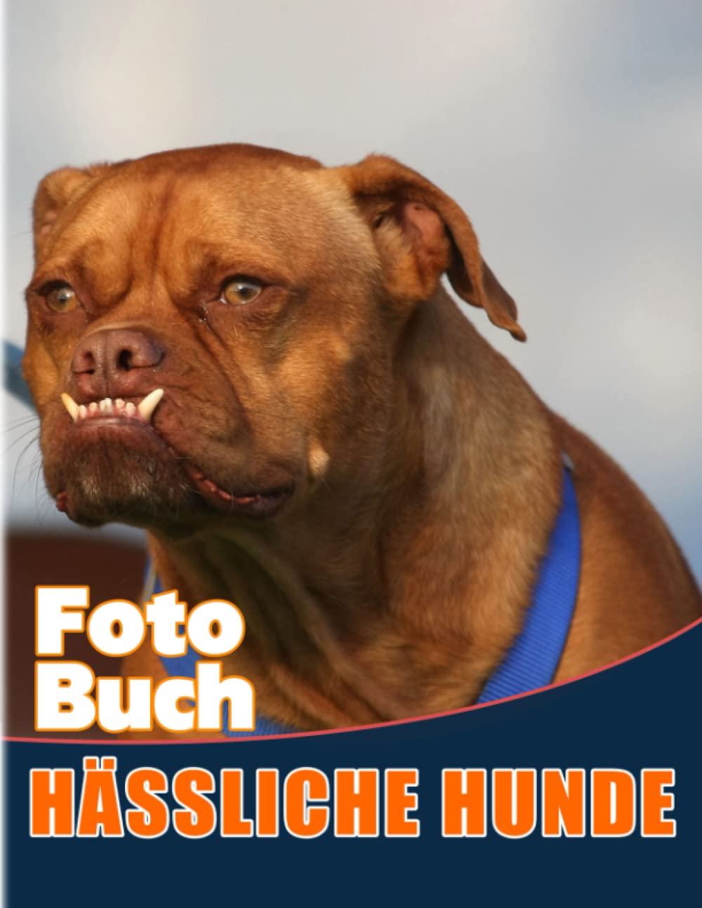 Hässliche Hunde Fotobuch: Eine Erstaunliche Mit 40 Hochwertigen Bildern von Ungewöhnlichen Hund für Erwachsene zur Entspannung | Ideale Geschenke für Geburtstag, Besonderen Tag Books