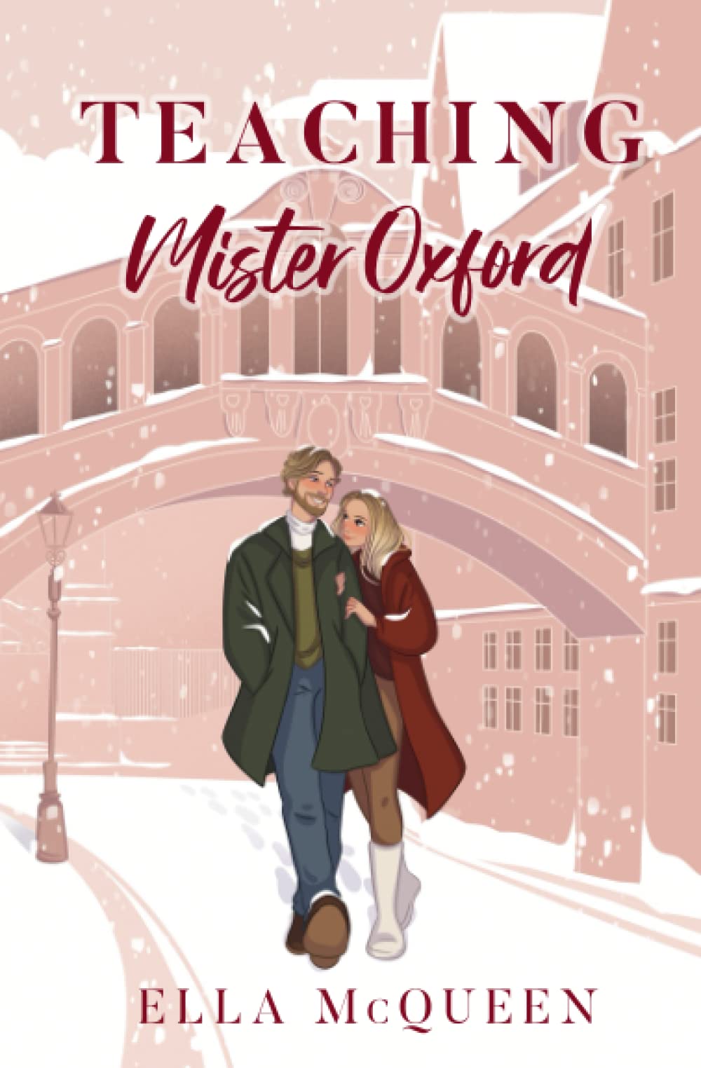 Teaching Mister Oxford (Mister Reihe, Band 2) Contemporary literature