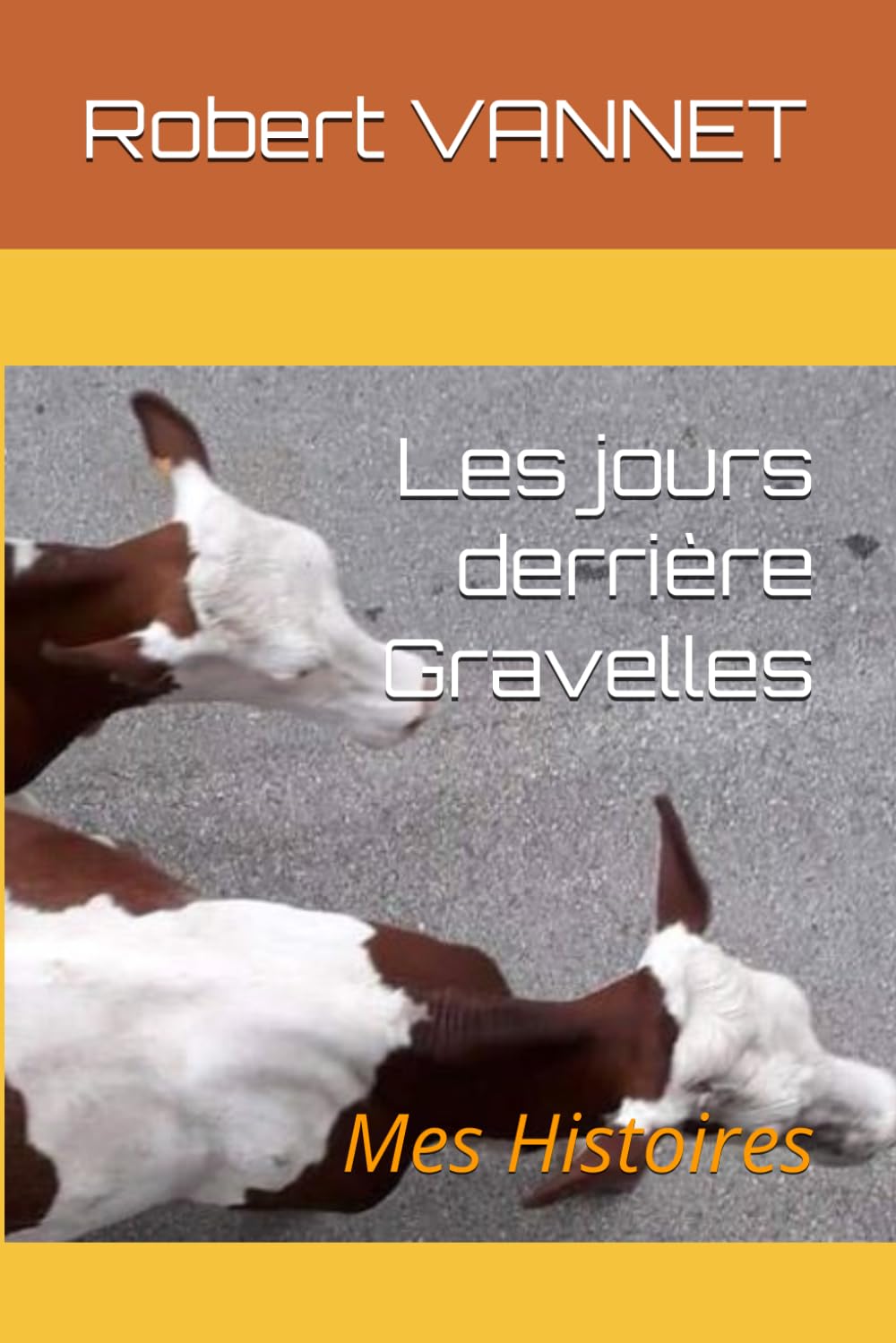 Les jours derrière Gravelles: Mes Histoires Memories