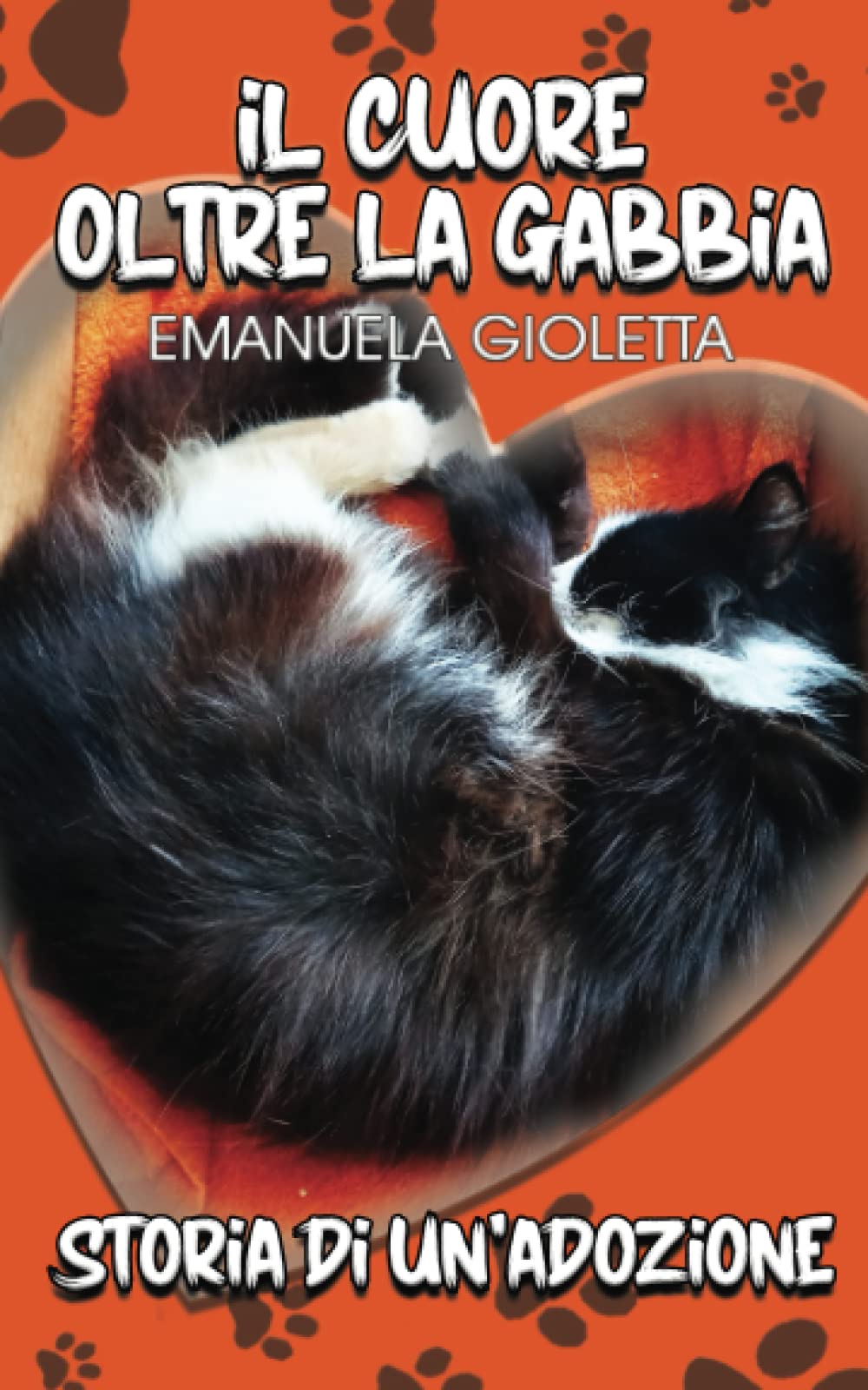 IL CUORE OLTRE LA GABBIA: Storia di un'adozione book