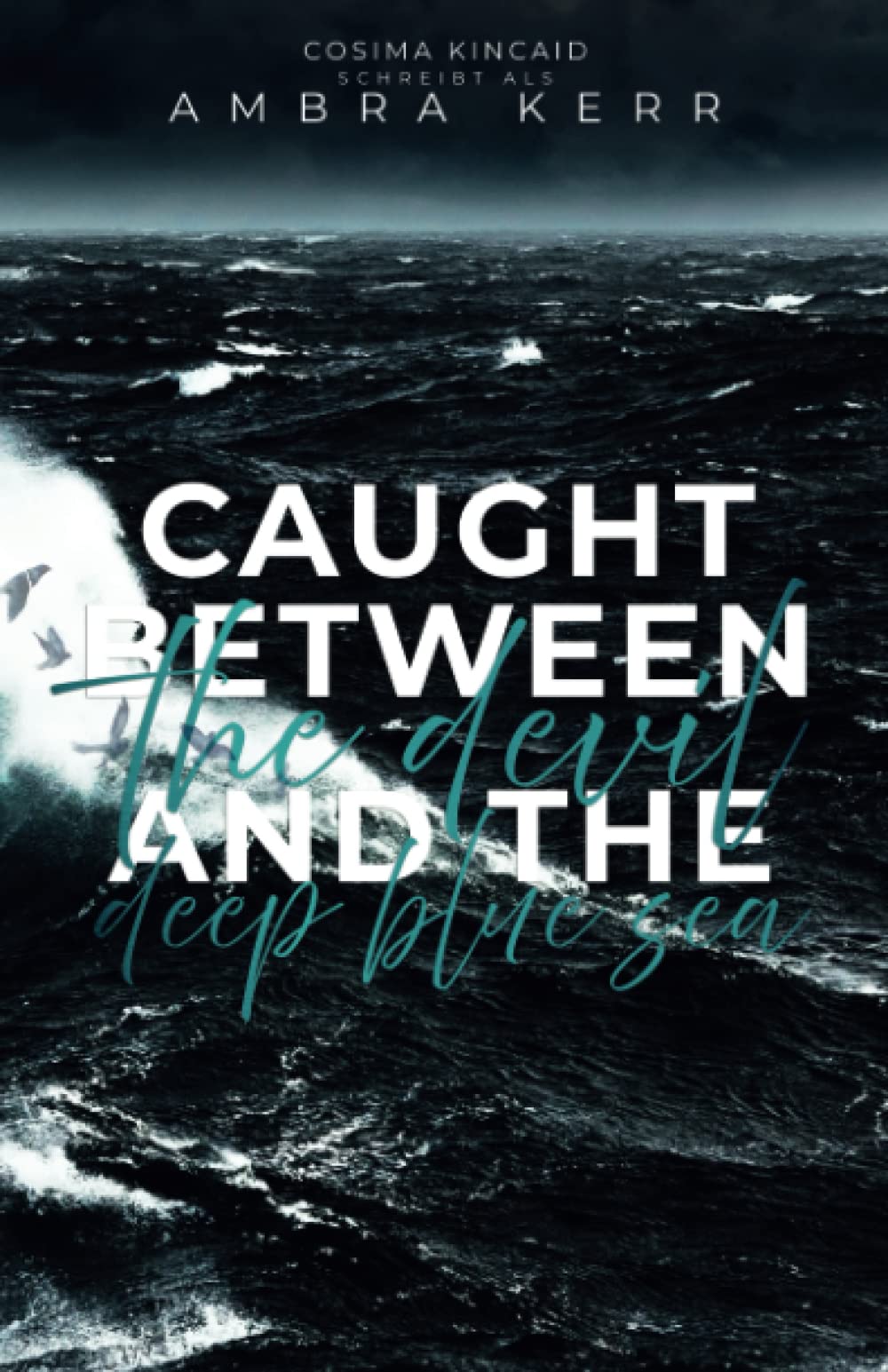 Caught between the devil and the deep blue sea: Dunkle Liebe auf hoher See book