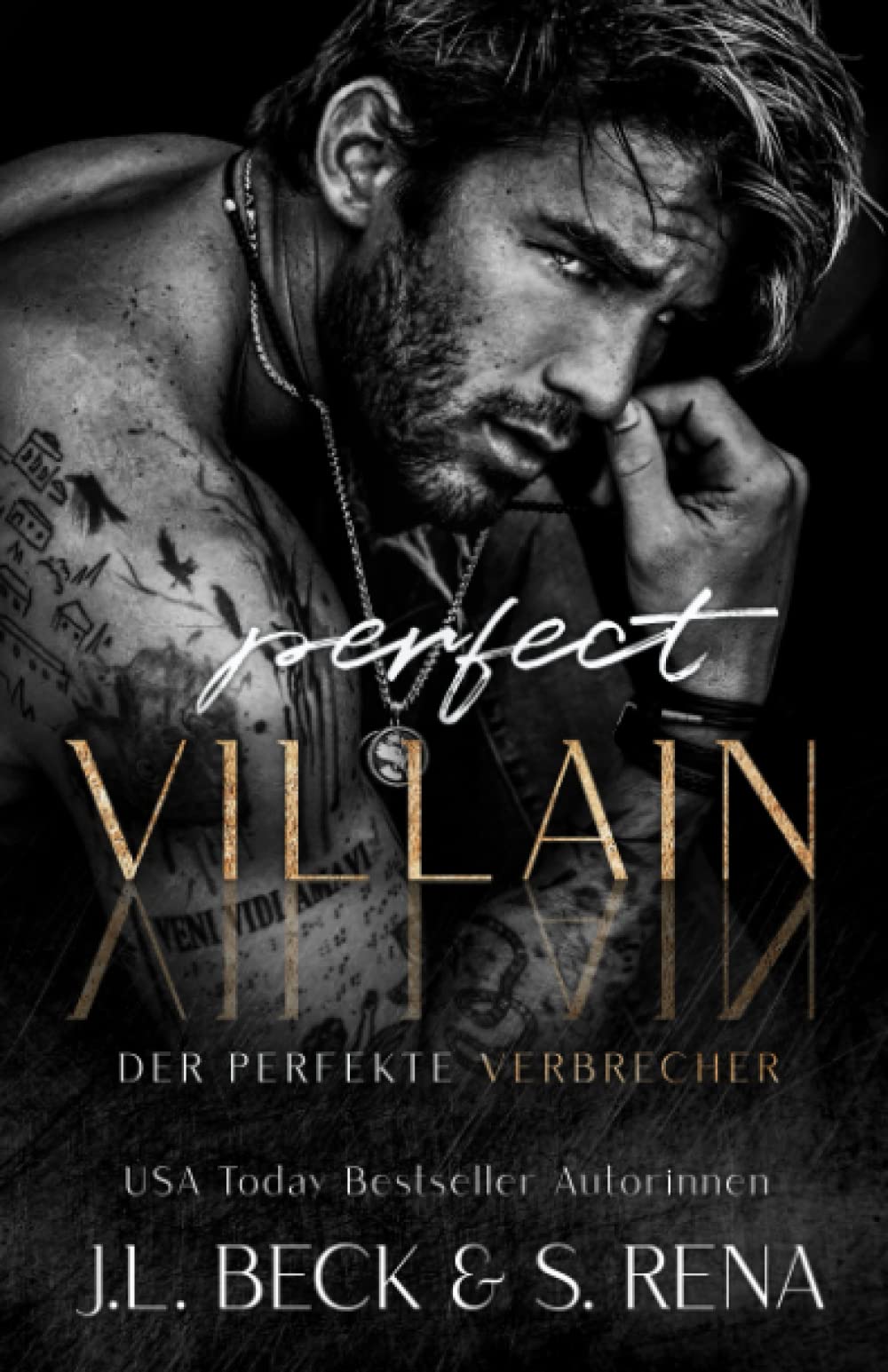 Perfect Villain: Der Perfekter Verbrecher book