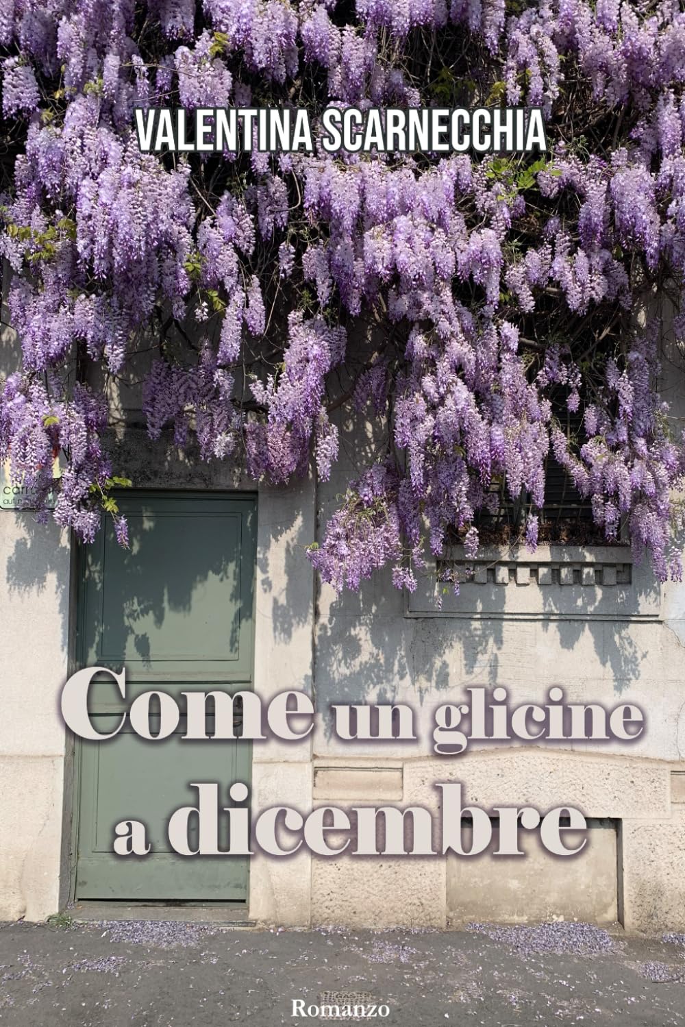 Come un glicine a dicembre book