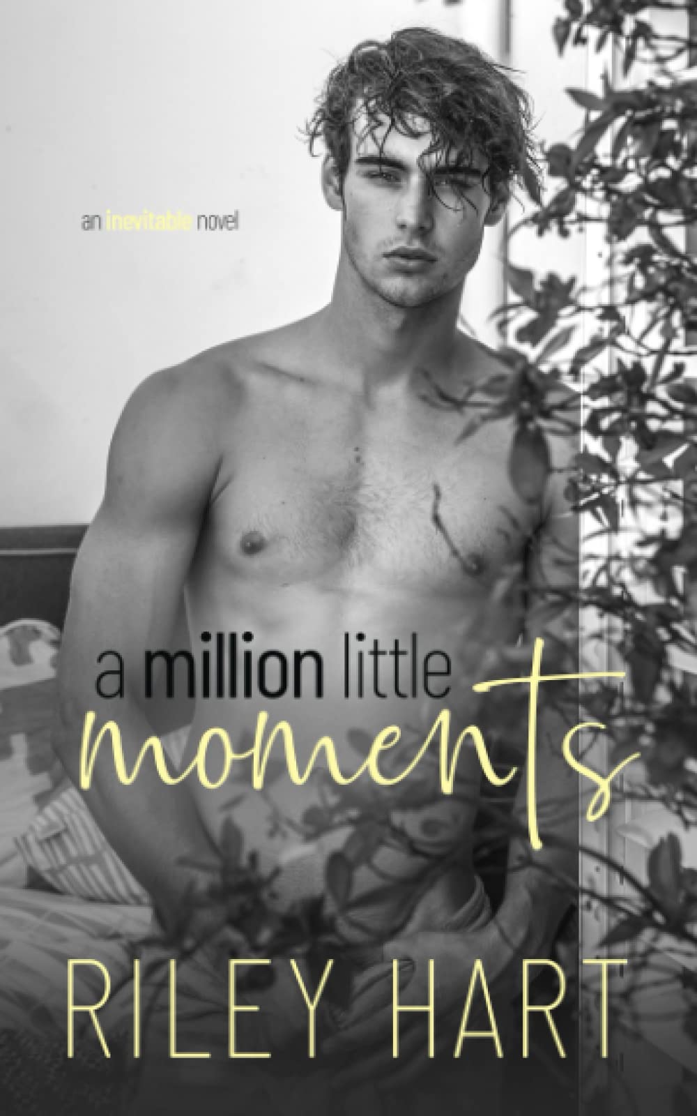 A Million Little Moments (Inevitable, Band 2) LGBTQ+
