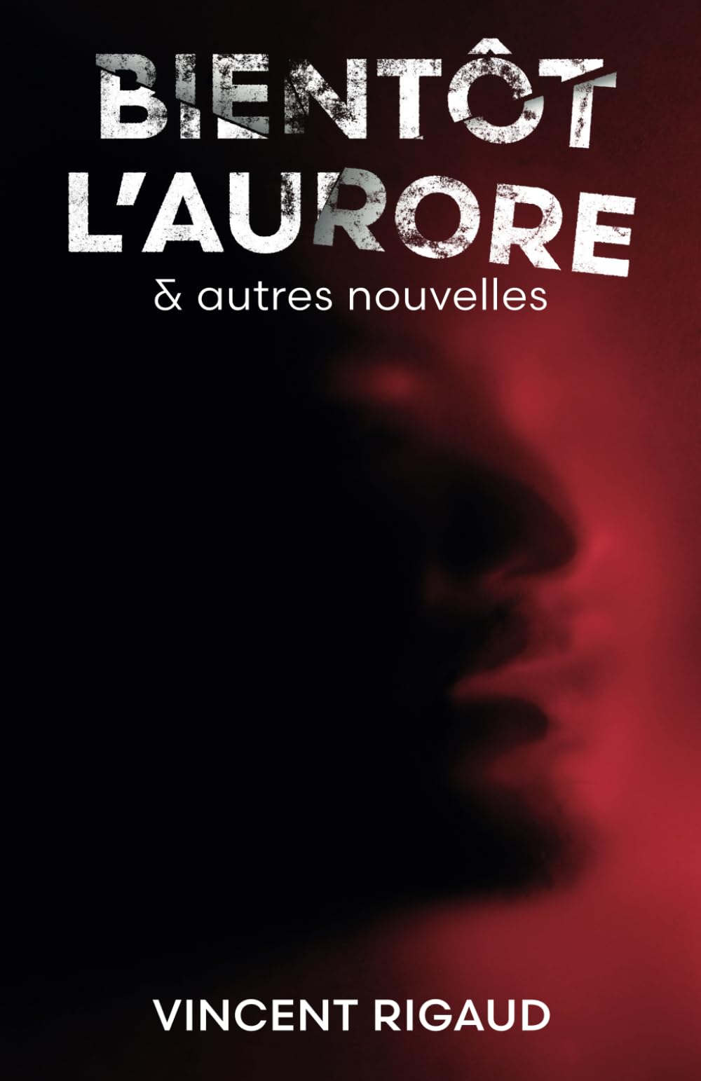 Bientôt l'Aurore: 17 nouvelles étranges, fantastiques et horrifiques book