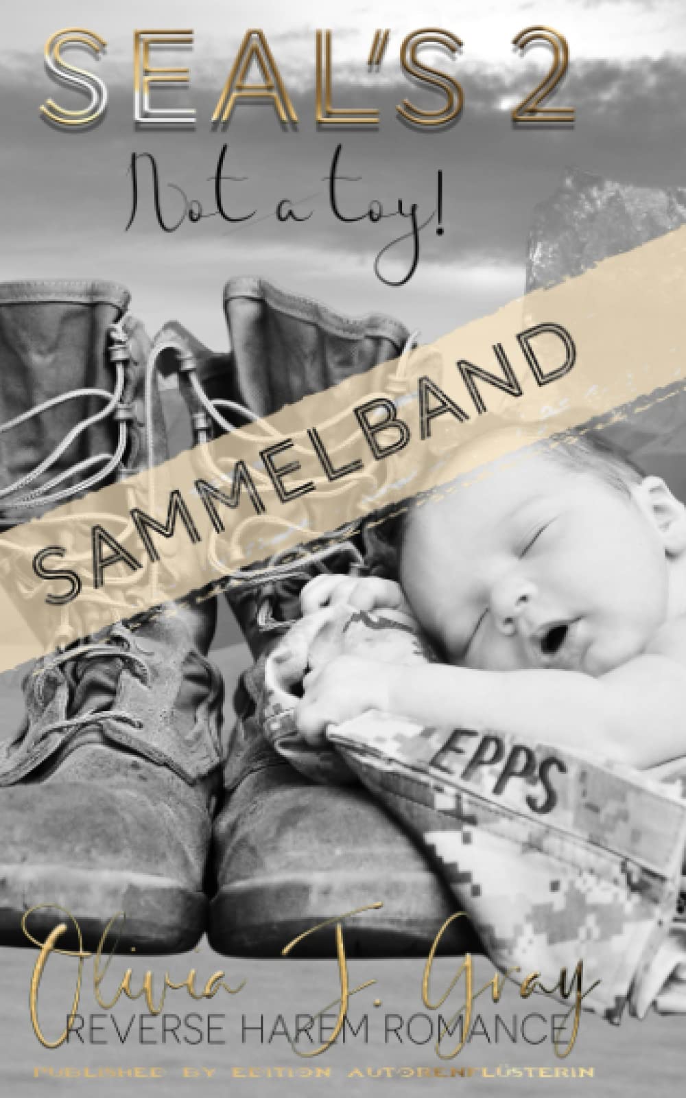 SEAL's: Not a Toy! Part Two: Sammelband (The HUNTS & Friends, Band 10) Contemporary literature