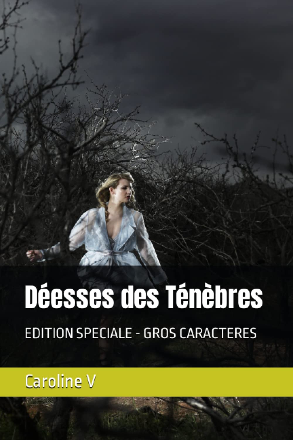 Déesses des Ténèbres: EDITION SPECIALE - GROS CARACTERES book