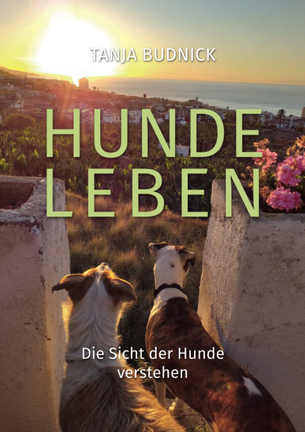 Hundeleben: Die Sicht der Hunde verstehen Pets