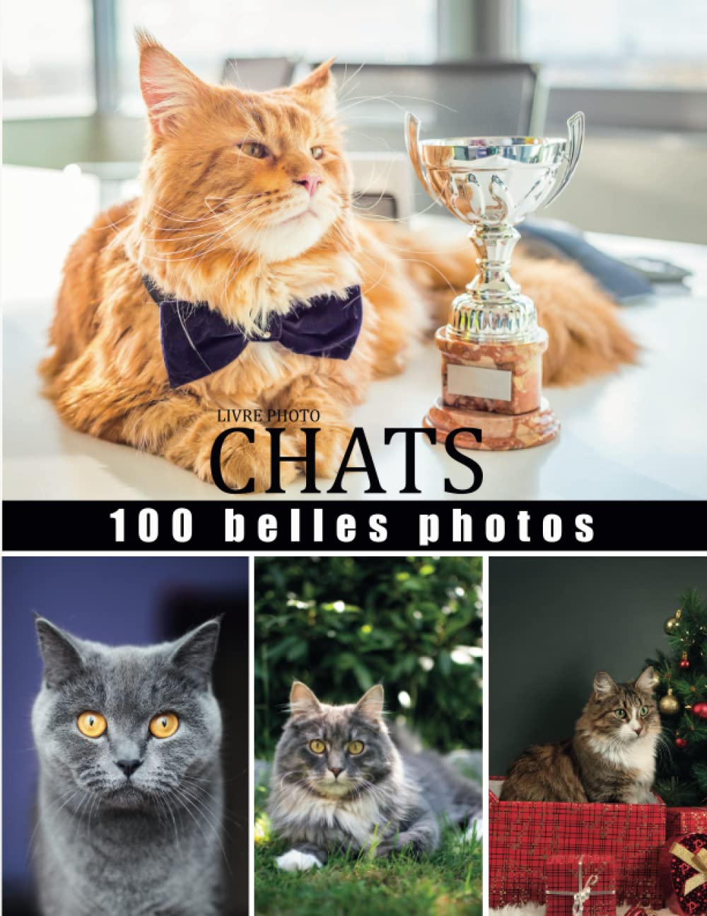 livre photo chats: Grande Collection chats, 100 belles photos dans Ce grand livre de photographie de portrait de chat - ce magnifique livre et un ... à une personne passionèe par les chats Photography