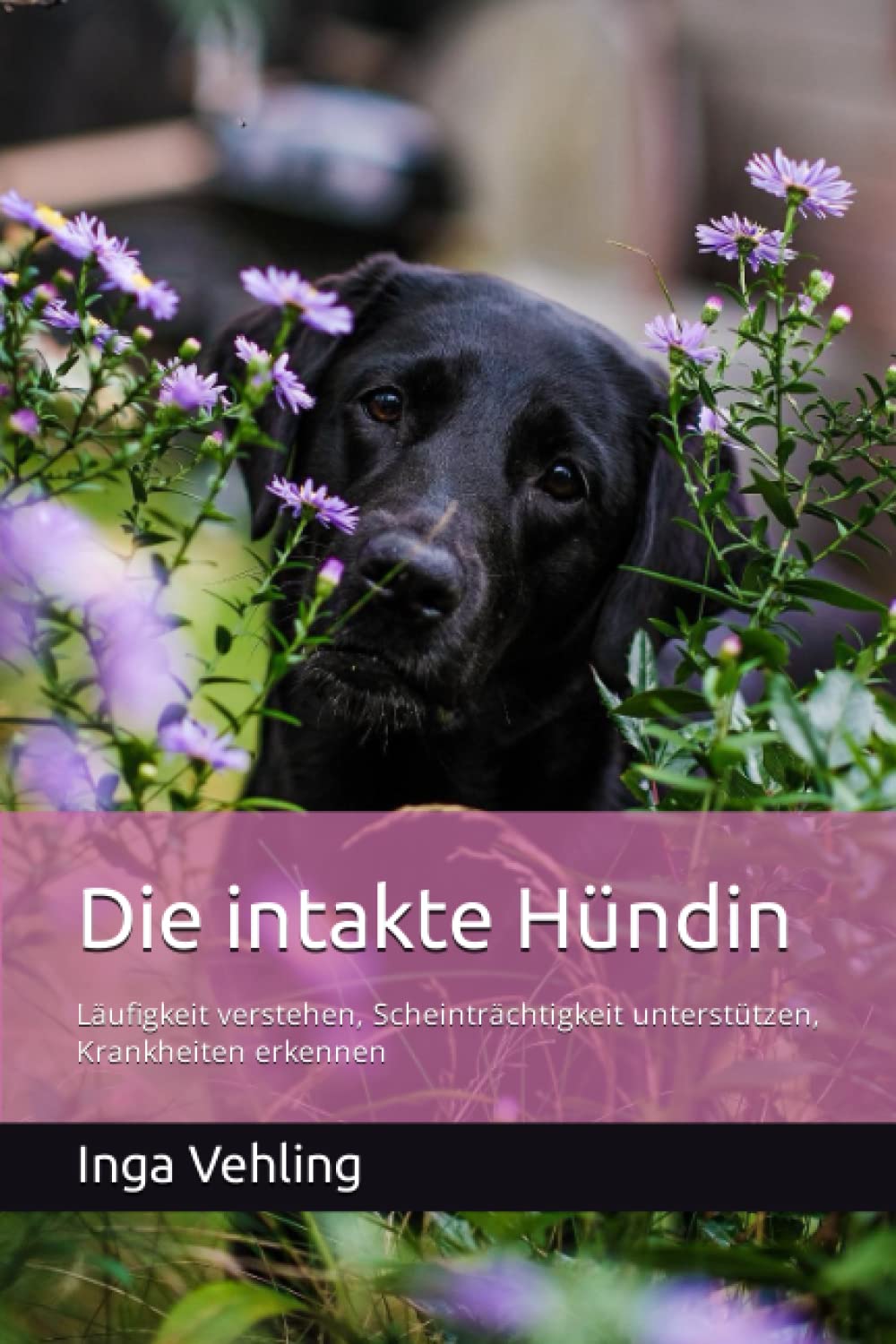 Die intakte Hündin: Läufigkeit verstehen, Scheinträchtigkeit unterstützen, Krankheiten erkennen Pets