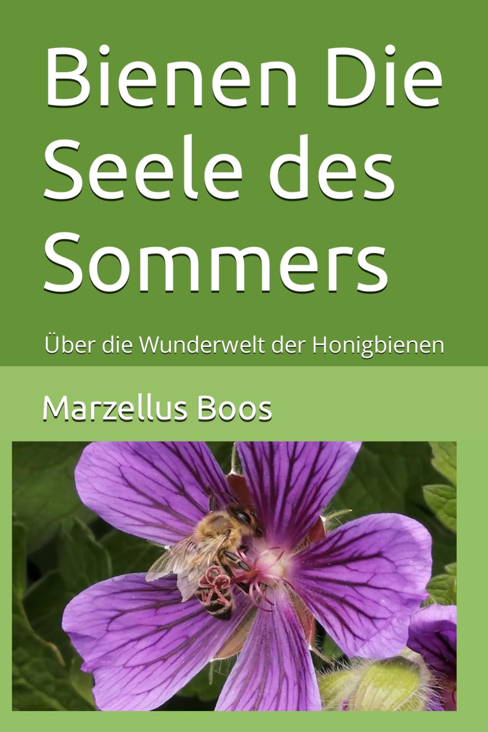 Bienen Die Seele des Sommers: Über die Wunderwelt der Honigbienen Mathematics