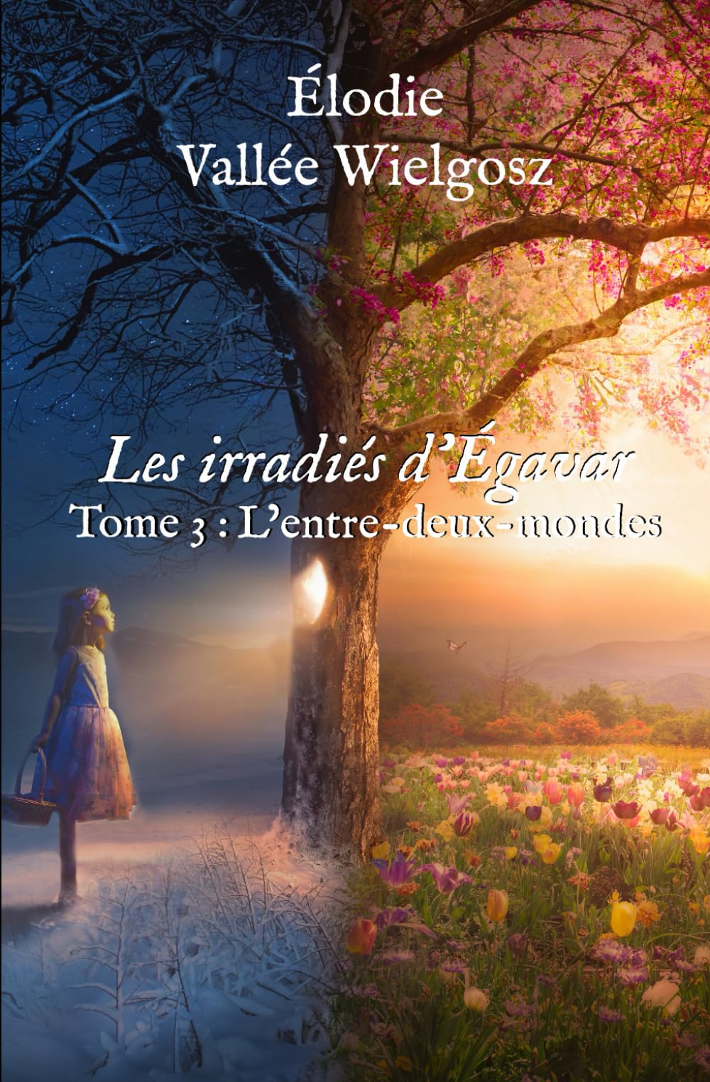 Les irradiés d’Égavar: Tome 3 : L’entre-deux-mondes book